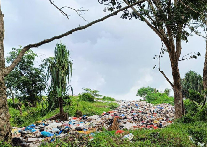 Kecamatan Didesak Sikapi Tumpukan Sampah di TPA Pamor Ganda, Kades: Sudah Lama Kami Keluhkan