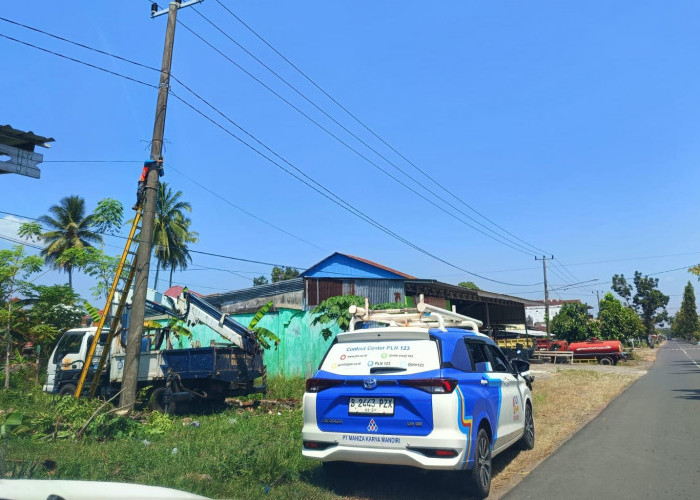 PLN Arga Makmur Lakukan Penebangan, Listrik di Bengkulu Utara Padam Total 