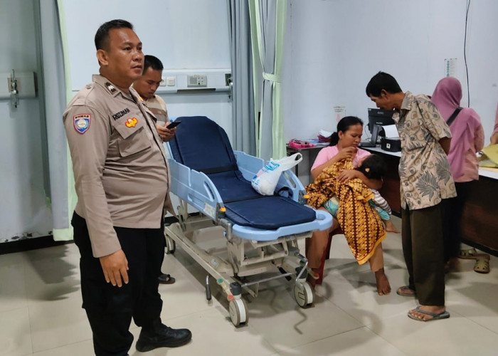 Selain Anak-anak Jadi Korban, Anjing Liar Juga Teror Ternak Kambing