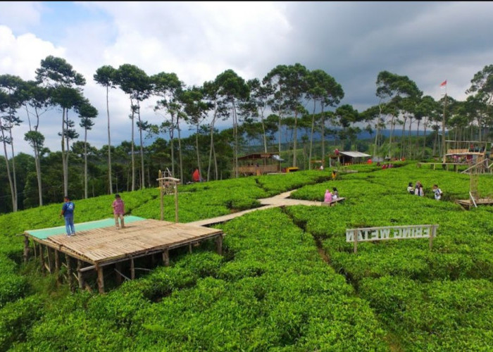 Tebing Wetan, Jadi Spot Foto Instagramable di Kepahiang