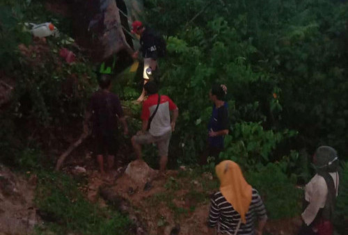 Molek Masuk Jurang, Penumpang Tersangkut Pohon