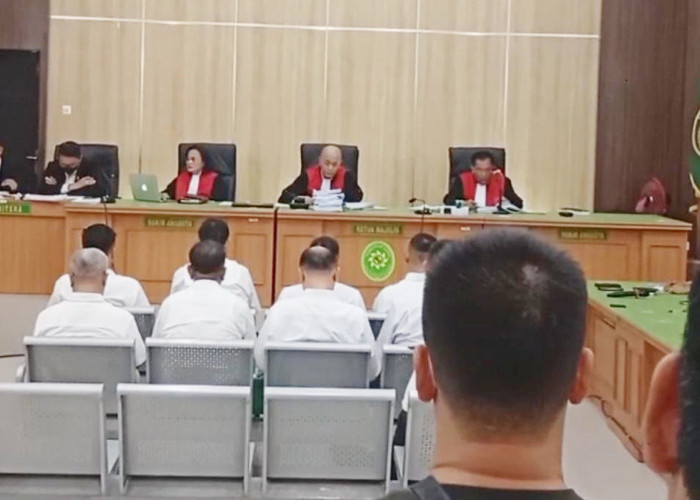 12 Terdakwa Tambang Batu Bara PT. RSM Divonis Bersalah