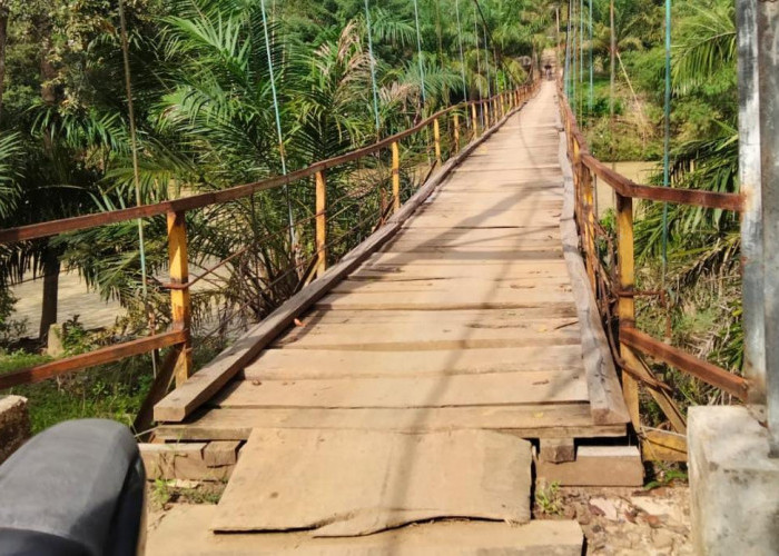 Reot dan Dimakan Karat, Pemerintah Diminta Rehab Fisik Jembatan Gantung di Muara Santan