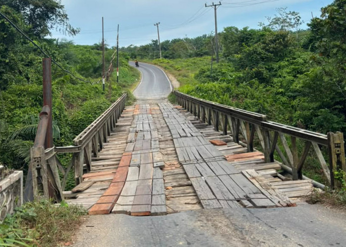 Desak Pemprov Cari Skema Pembiayaan Lain, Jangan Gagalkan Jalan Ketahun-Napal Putih! 