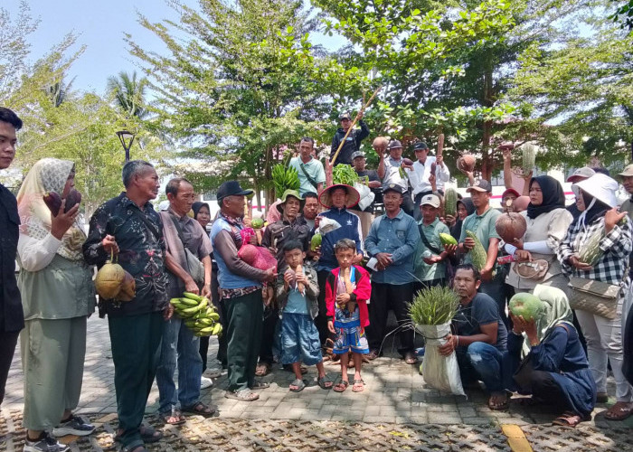 Kelompok Petani Tanjung Sakti Bawa Uang dan Hasil Bumi ke PN Mukomuko, Pembayaran Rp3 Miliar Ditolak