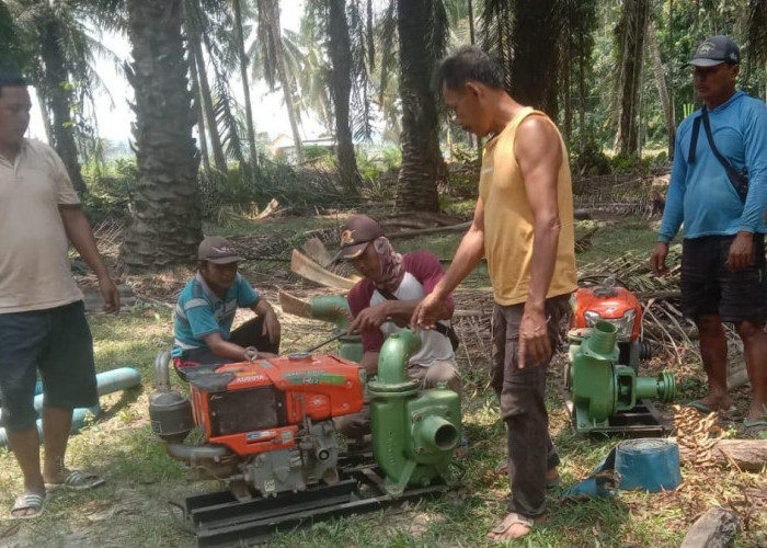 3 Unit Mesin Pompa Air Pinjaman Didatangkan Petani di Karya Jaya untuk Atasi Kekeringan