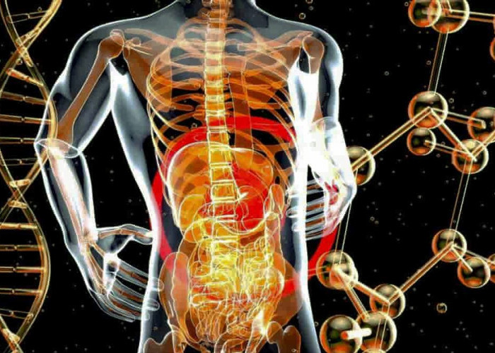 7 Pertanyaan Konyol Tentang Manusia yang Menambah Wawasanmu