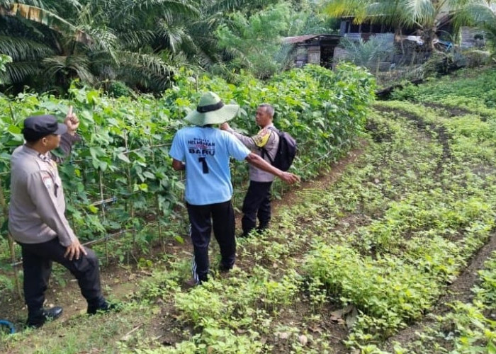 Bhabinkamtibmas Polsek Ketahun Diterjunkan Langsung ke Rumah Warga untuk Dampingi Program Ketahanan Pangan