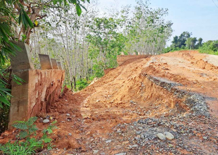 Dibiarkan Terbengkalai, Jalan Provinsi Jabi–Tanjung Alai Terjepit Longsor dari 2 Sisi