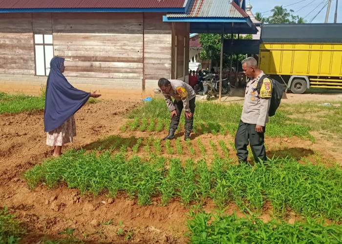 Bhabinkamtibmas Polsek Ketahun Gencar Monitoring Ketahanan Pangan Bergizi di Desa Binaan