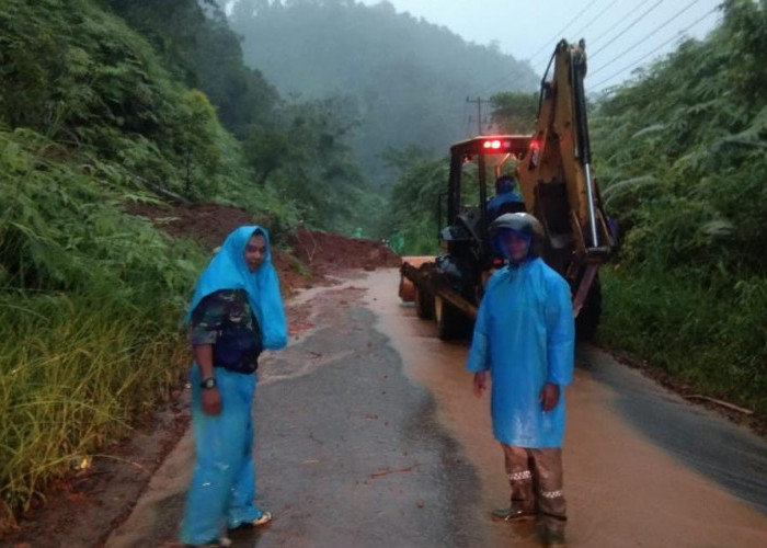 Diguyur Hujan Deras, Bukit Resam Lebong Kembali Longsor Pengguna Jalan Diminta Hati-hati