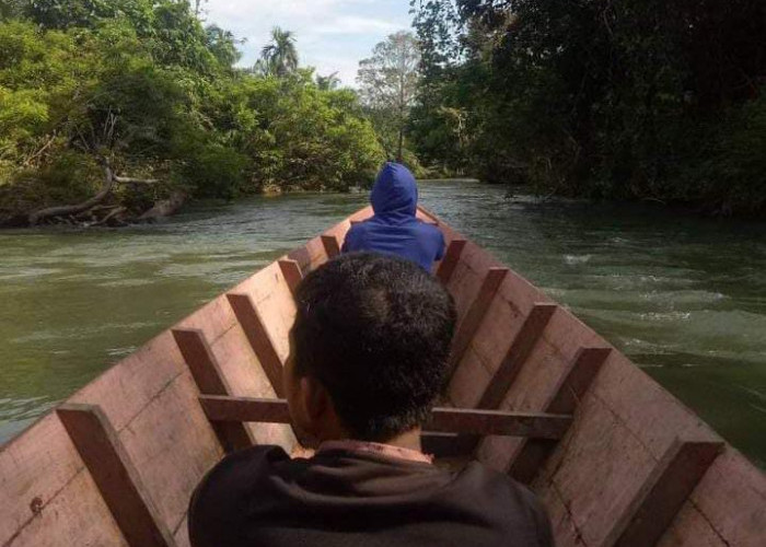 Tengah Cari Ikan, Warga Tanjung Kemenyan Hanyut di Sungai Ketahun