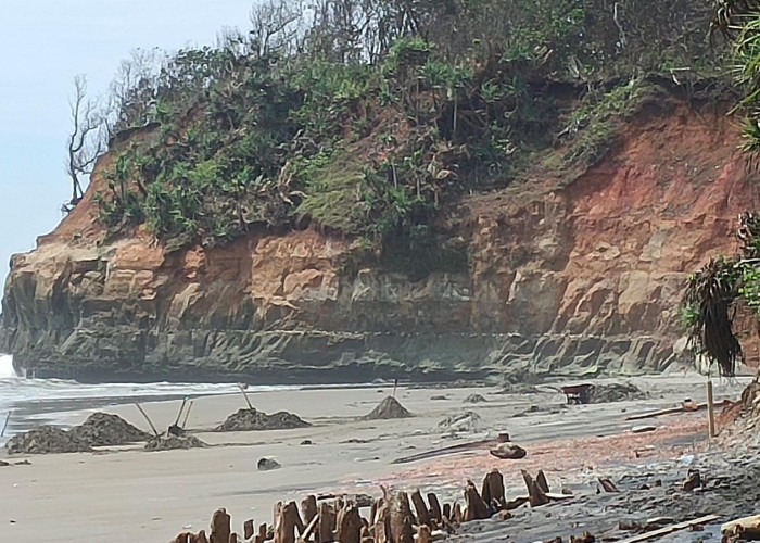 Terancam Abrasi, Tambang Pasir Pantai Ilegal Menjamur di Bengkulu Utara. 