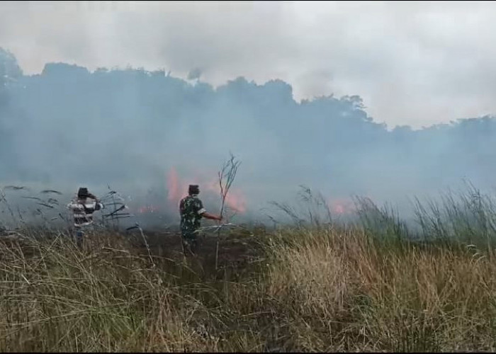 Lahan Gambut Desa Banjarsari Kecamatan Enggano Terbakar, Lokasi Sulit Diakses
