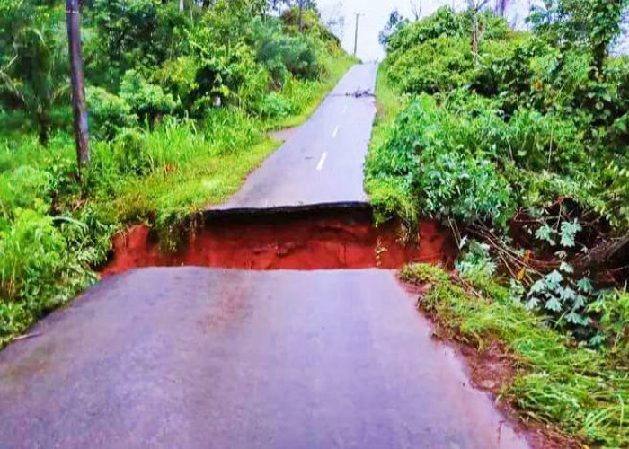 Jalan Amblas akibat Hujan Deras, 68 KK Warga Dusun 1 Desa Rena Jaya Terisolir 