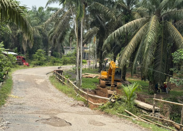 Butuh Rp4 Miliar, Komisi III Pastikan Jembatan Mumbang 2 Dilanjutkan hingga Tuntas