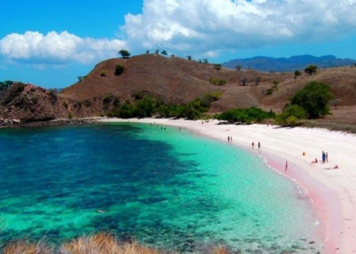 Cocok Dikunjungi Saat Libur Lebaran, Pantai Pink Bisa Berikan Sensasi Healing yang Berbeda