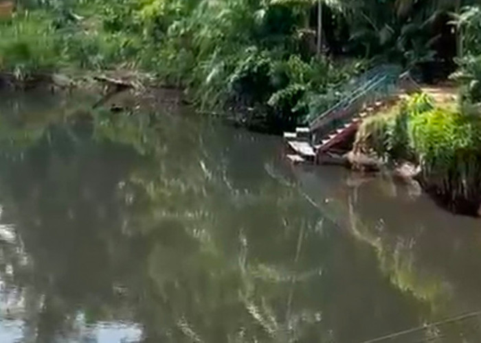 Sungai Selagan Menghitam, DLH Ancam Rekomendasikan ke APH Jika Terbukti Ada Limbah