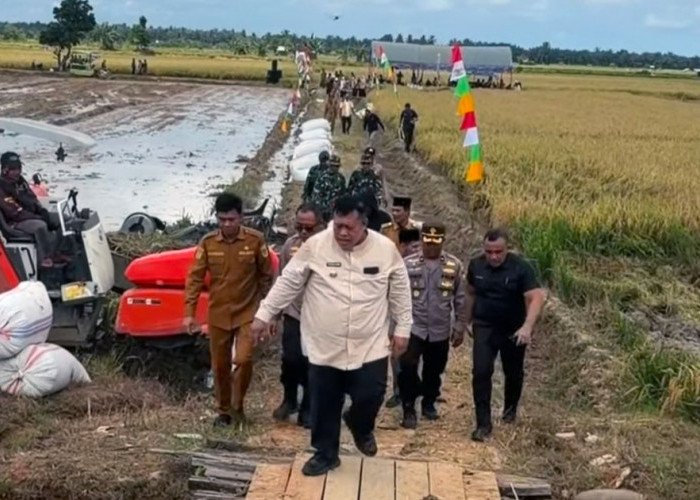 Pemkab Mukomuko Gaspol Perkuat Lumbung Pangan Daerah