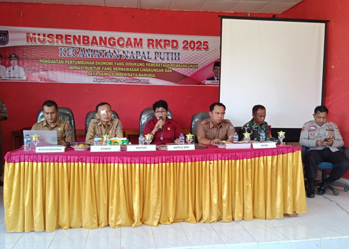 Dihadiri Ketua DPRD Bengkulu Utara, Musrenbangcam RKPD TA 2025 di Napal Putih Berlangsung Sukses