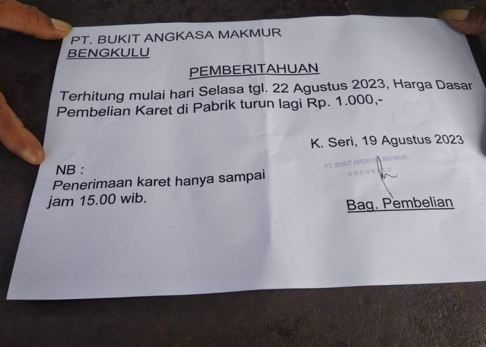 Update Harga Karet di Bengkulu 19 Agustus 2023, Turun Rp1.000, Ekonomi Petani Makin Sulit