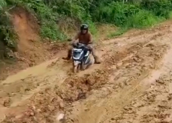 DBH Sawit Sudah Diproyeksikan, Jalan Trans Lapindo-Kinal Jaya Belum Direalisasikan