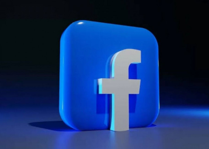 Apa itu FB Pro? Mode Facebook untuk Dapat Uang dari Hasil Konten