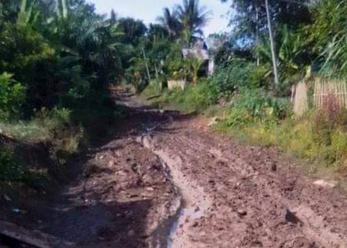 Astagfirullah Pak Bupati! Jalan ke PAUD, SD dan SMP di Desa Gembung Raya Ini Masih Berlumpur