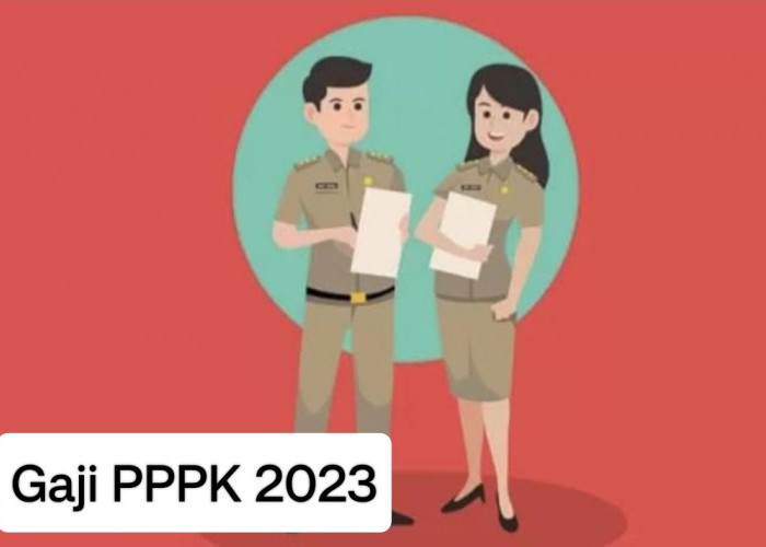 Bakal Terima Rp3,7 Juta Perbulan, Seleksi PPPK 2023 Berkah untuk Honorer di Bengkulu Utara, Ini Penjelasannya