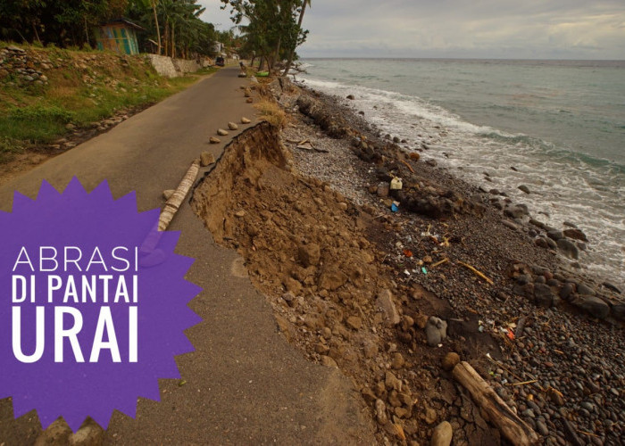 5 Km Jalinbar Pesisir Pantai Urai Diperbaiki, Arus Lalin Dipastikan Tetap Lancar