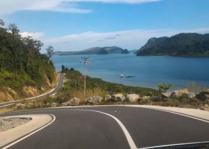 Disebut Jalur Surga Tersembunyi, Jalan Bengkulu-Lampung Punya Panorama Samudera Hindia Hanya Berjarak 4 Meter