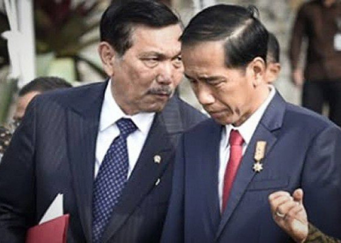 Jokowi Tunjuk Luhut Pimpin Satgas Tata Kelola Sawit