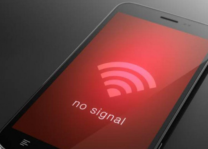 Listrik Padam, Sinyal Hilang, Telkomsel Diminta Optimalkan Peran Petugas Charge Baterai BTS di Napal Putih