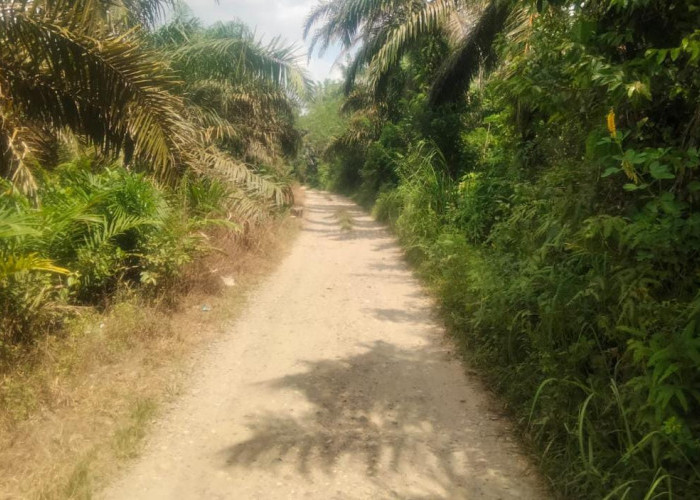 Pemdes Napal Putih Tagih Janji Perbaikan Jalan Lingkungan Desa yang Dirusak oleh Aktivitas Proyek Dinas PU