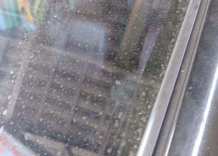 Dengan Peralatan Mandi, Kamu Bisa Membersihkan Jamur Kaca yang Bisa Mengganggu Pemandangan