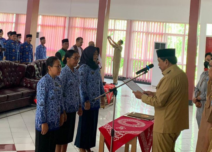 Solusi Penghapusan Honorer, Bengkulu Utara Buka Ratusan Formasi CPPPK