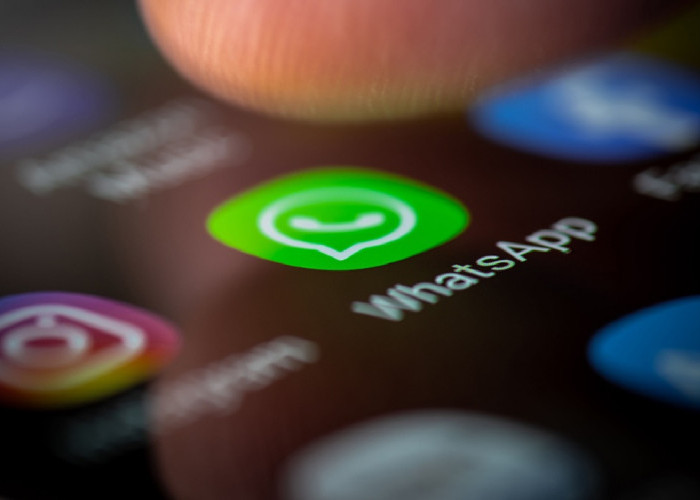 WhatsApp Buat Fitur Hubungkan Akun Media Sosial ke Profil Pengguna