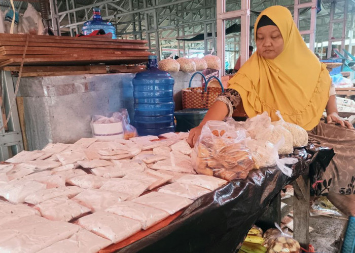 Tempe Goreng Semakin Tipis, Harga Kedelai di Bengkulu Utara Naik Drastis