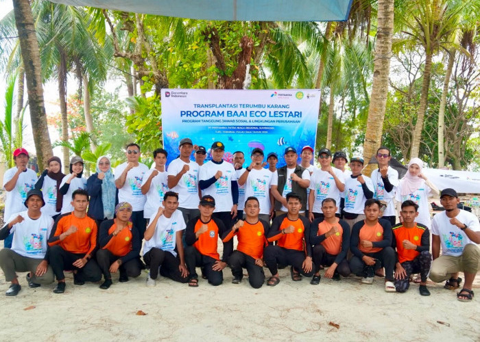 Jaga Ekosistem Pulau Tikus, Pertamina Sumbagsel Taman 760 Bibit Terumbu Karang
