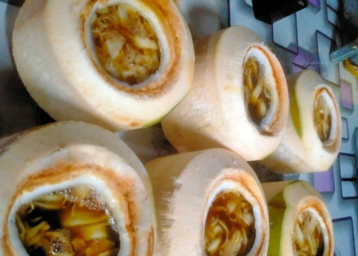 Manfaat Kelapa Jelly, Cara Baru Nikmati Kesegaran Kelapa Muda di Bengkulu