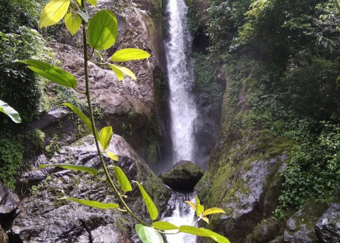 Sensasi Berpetualang di Air Terjun Datar Lebar Kabupaten Bengkulu Tengah