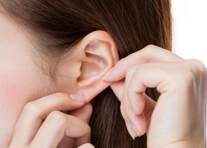 6 Kepribadian Seseorang Berdasarkan Bentuk Telinga, Nomor 4 Cocok Jadi Panutan