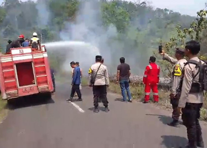 Diduga Buka Lahan Baru, HL Bukit Daun Terbakar