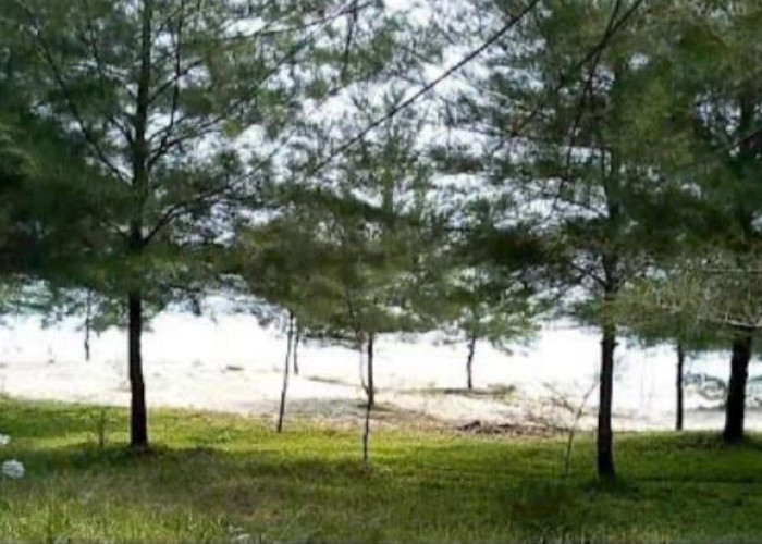 Sensasi Camping di Pantai Air Patah Mukomuko, Cocok Untuk Healing Bareng Teman