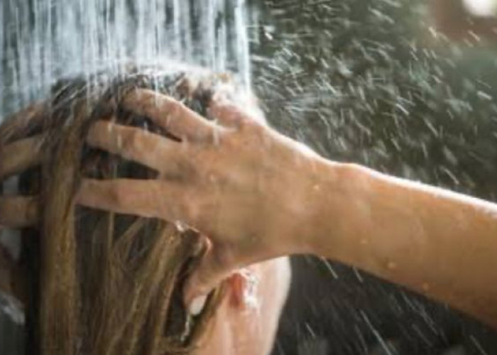 Fungal Acne Ternyata Bisa Hilang dengan Menggunakan Shampo Anti Ketombe