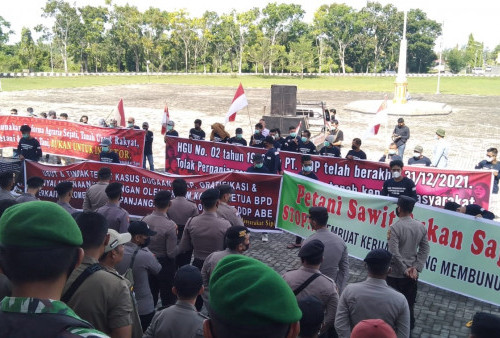 Demo Tolak HGU PT DDP, Kantor Bupati Digeruduk Massa