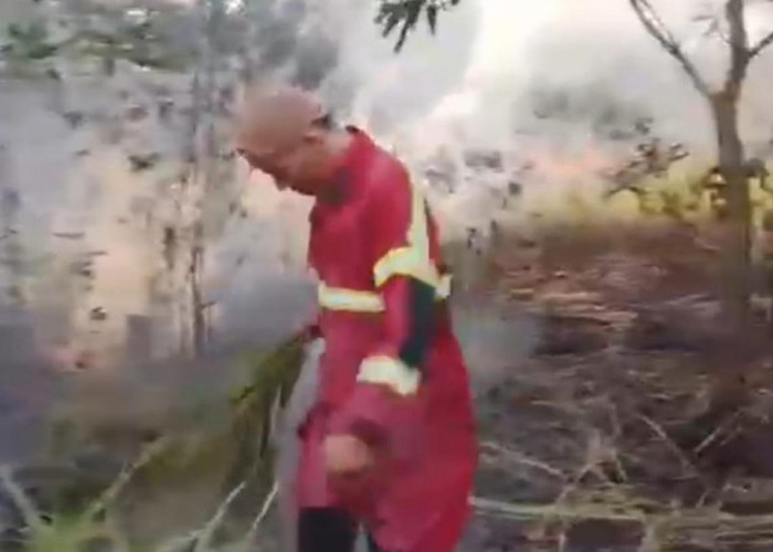 Kebakaran Lahan di Kelurahan Surabaya, Damkar Kota Bengkulu Padamkan Secara Manual