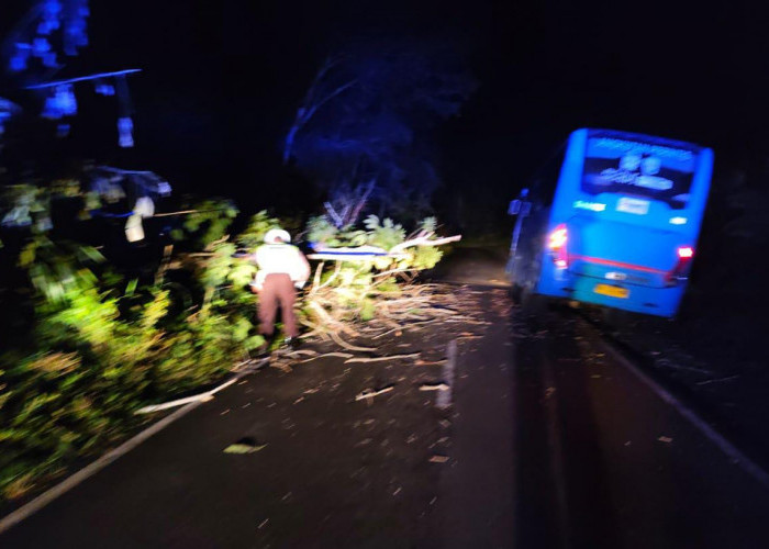 Polisi Bersihkan Pohon Tumbang di Desa Gardu yang Sempat Sendat Arus Lalulintas