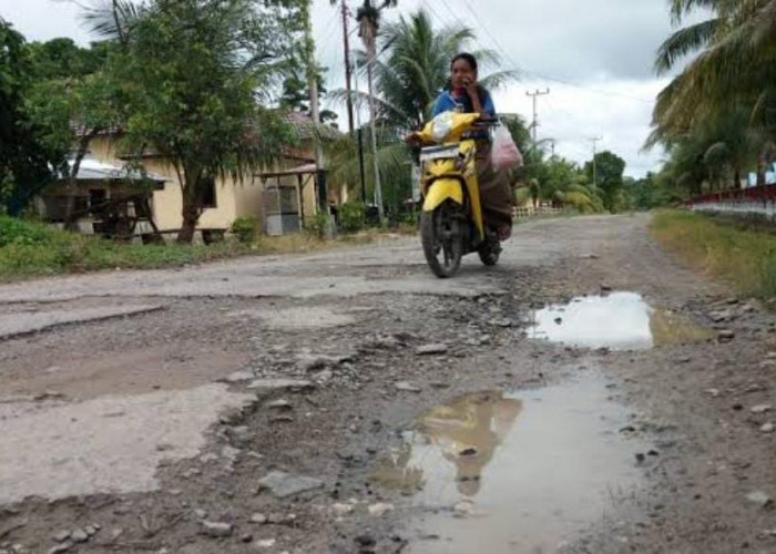 Pemdes Napal Putih Usulkan Pembangunan 2 Ruas Jalan ini ke Pemkab Bengkulu Utara