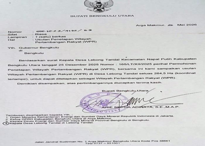 Pendulangan Emas Lebong Tandai Diluar TNKS, Usulan WPR ke Gubernur